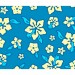 Pas cher Hawaii Pacific - Hamac à barres double rembourré - Bleu / turquoise - 1